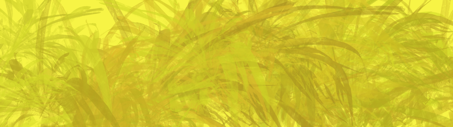 blankbanner (1)