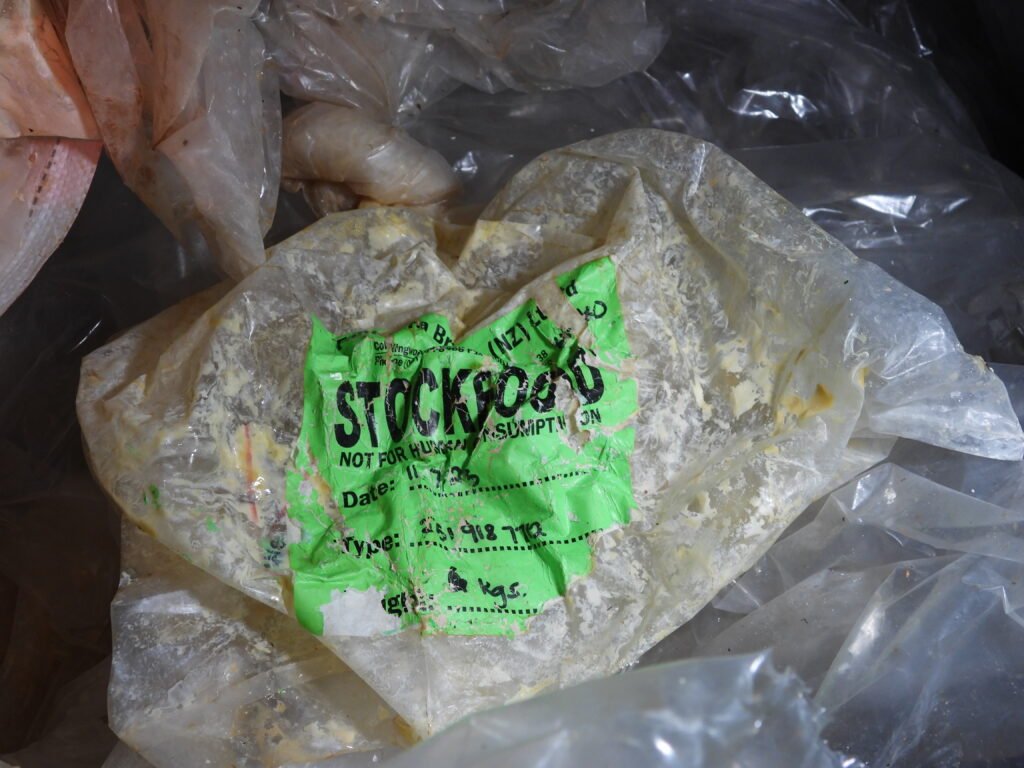 expired cheese