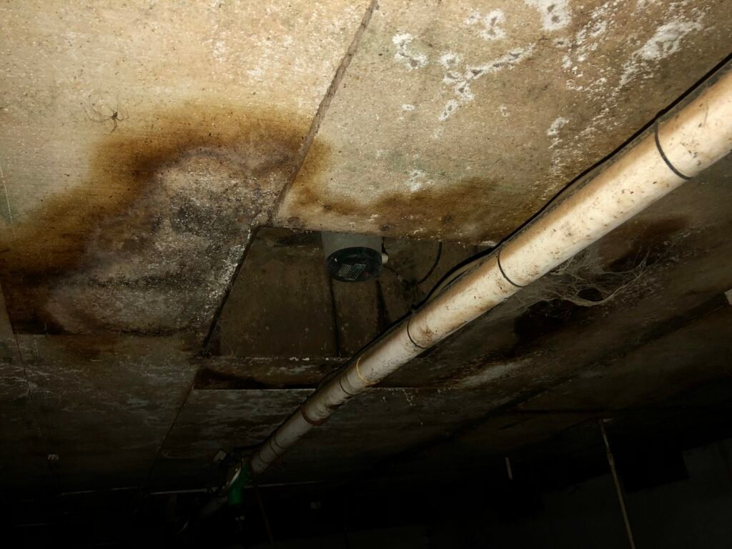 extractor 2