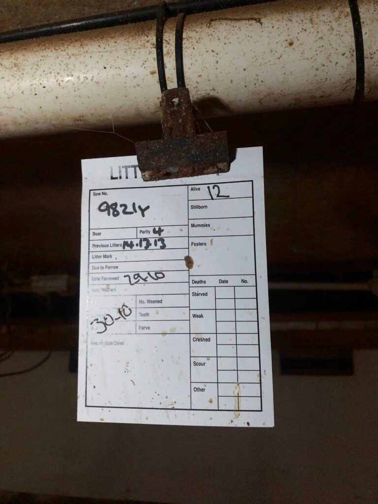 info1