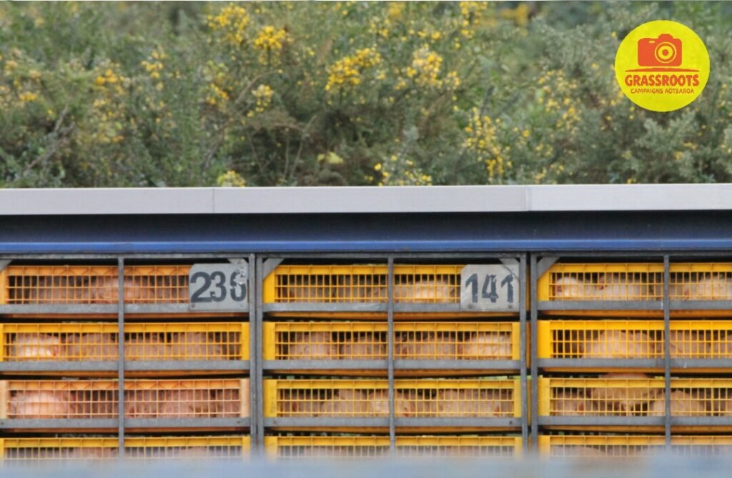 in crates 2.