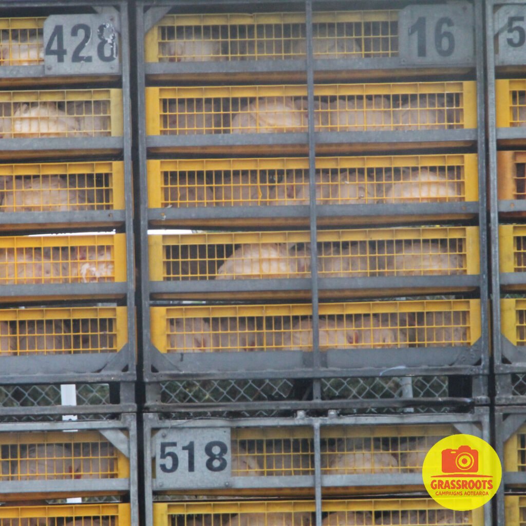 loaded on truck pixteller